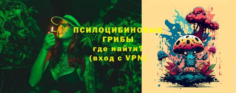 нарко площадка состав  Новочебоксарск  Галлюциногенные грибы прущие грибы 